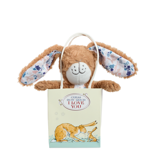 Rainbow Designs Guess How Much I Love You Hare In Bag