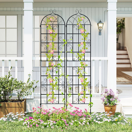 2 Pack 50 x 218 cm Metal Garden Trellis for Outdoor Climbing Plants