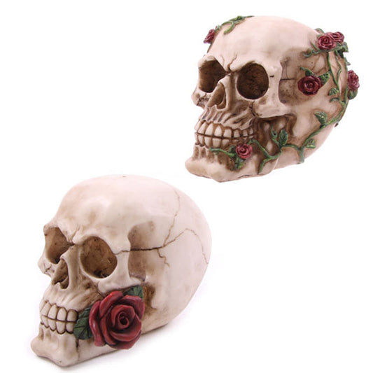 Skull with Roses