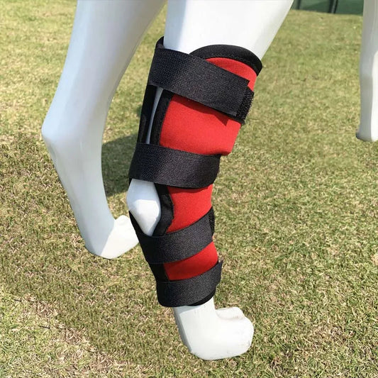 DZOMNOK Dog Leg Knee Brace - Support & Stability for Pet Injury Recovery