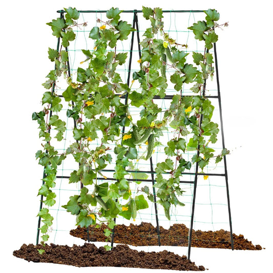 A-Frame Outdoor Trellis for Climbing Plants Garden Trellis