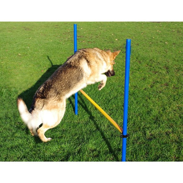 Agility Hurdle Jump | Luxury Home Accessories | Heulog Glow