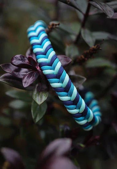 Aira Force Braided - Handmade Paracord Dog Collar. | Luxury Home Accessories | Heulog Glow
