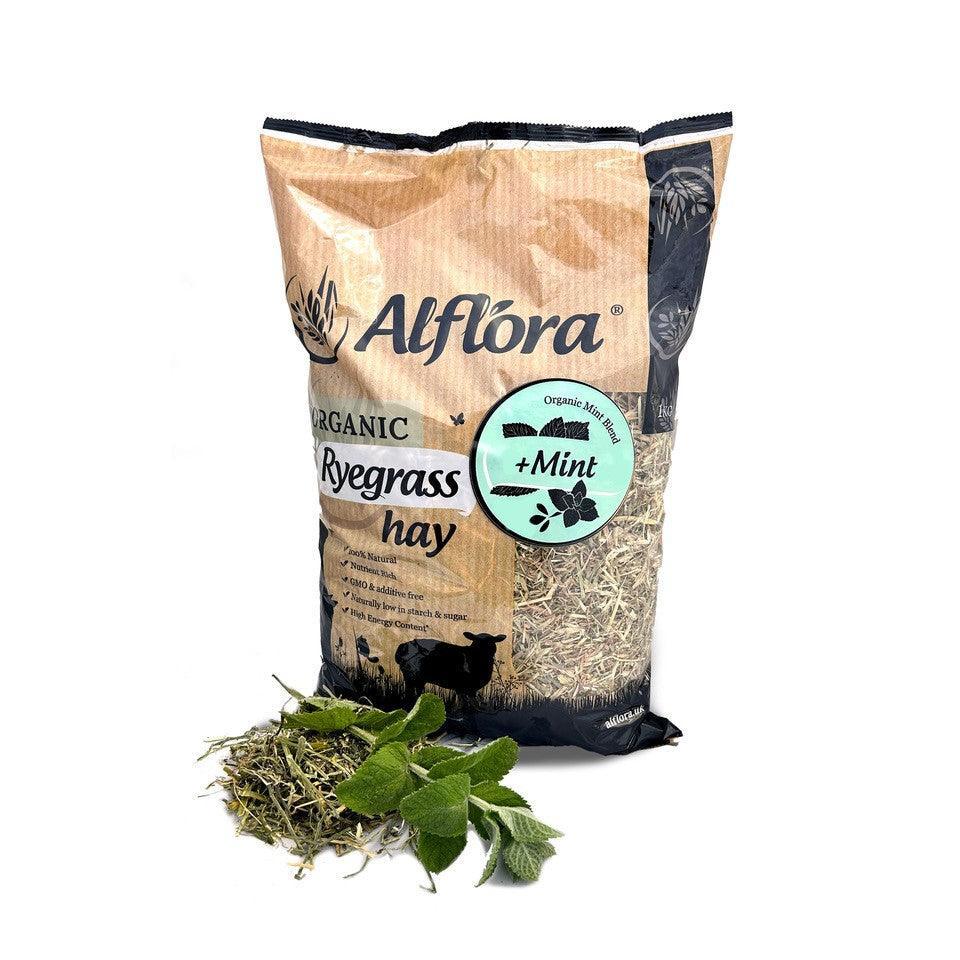 Alflora Organic Ryegrass Hay Mint 1kg | Luxury Home Accessories | Heulog Glow