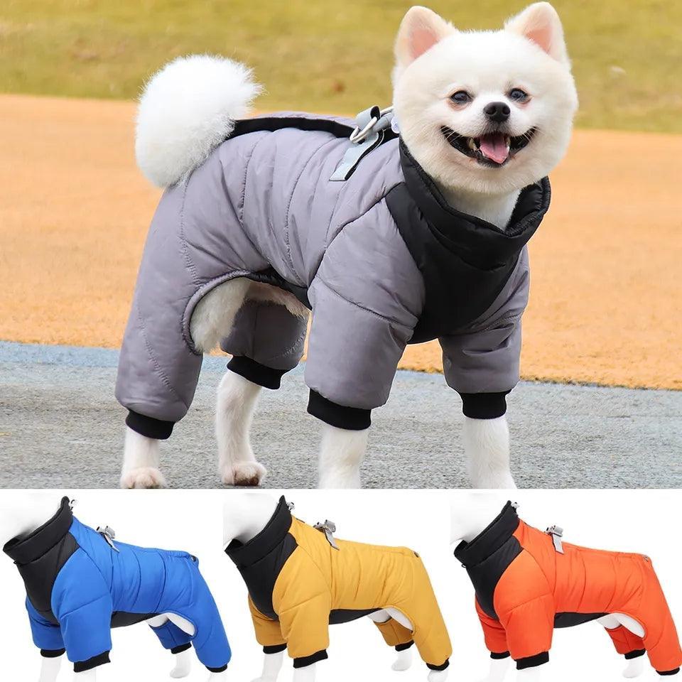 All Weather Dog All-In-One | Luxury Home Accessories | Heulog Glow
