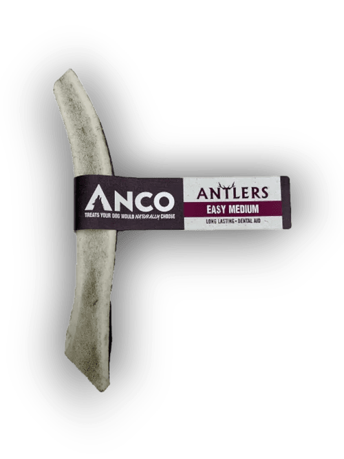Anco Antlers Easy Medium | Luxury Home Accessories | Heulog Glow
