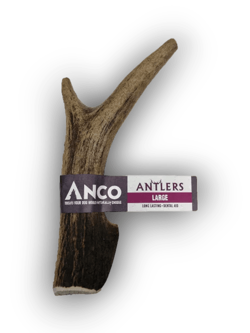 Anco Antlers Large | Luxury Home Accessories | Heulog Glow