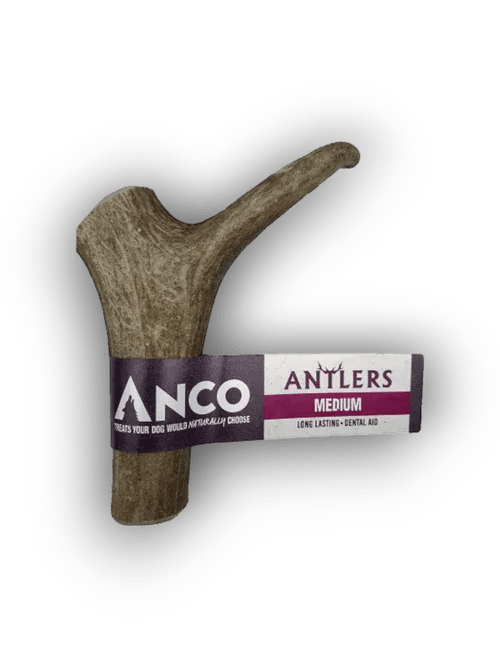 Anco Antlers Medium | Luxury Home Accessories | Heulog Glow