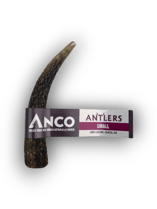 Anco Antlers Small | Luxury Home Accessories | Heulog Glow