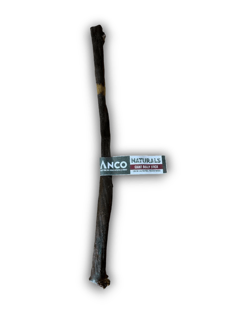 Anco Naturals Giant Bully Stick | Luxury Home Accessories | Heulog Glow