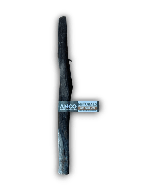 Anco Naturals Giant Camel Stick | Luxury Home Accessories | Heulog Glow