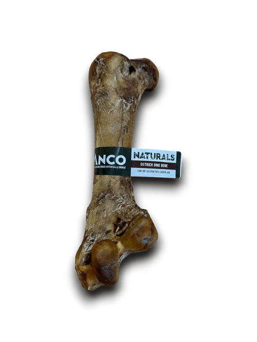 Anco Naturals Ostrich Dino Bones | Luxury Home Accessories | Heulog Glow