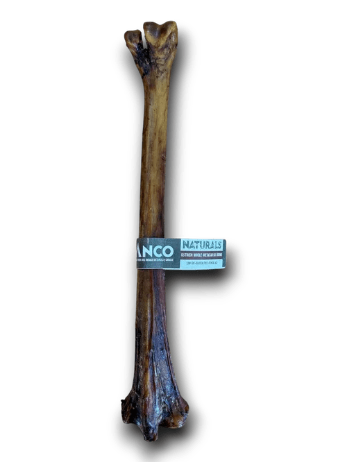 Anco Naturals Ostrich Whole Metatarsus Bone | Luxury Home Accessories | Heulog Glow