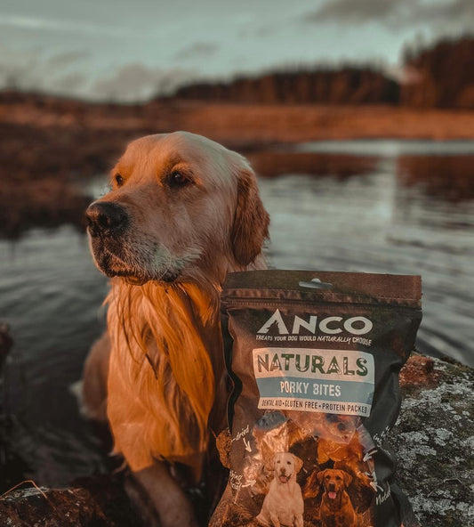 Anco Naturals Porky Bites 250g | Luxury Home Accessories | Heulog Glow