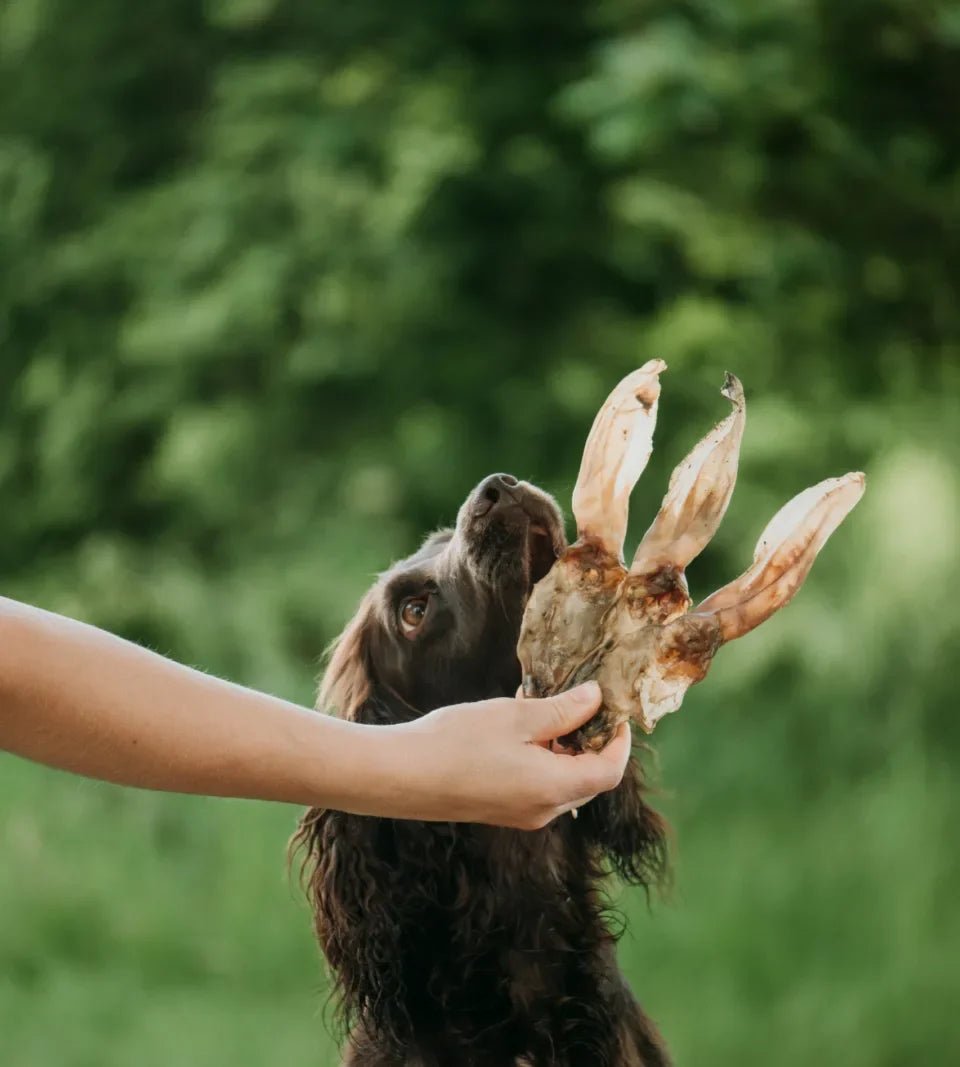 Anco Naturals Rabbit Ears 1kg BULK DEAL | Luxury Home Accessories | Heulog Glow