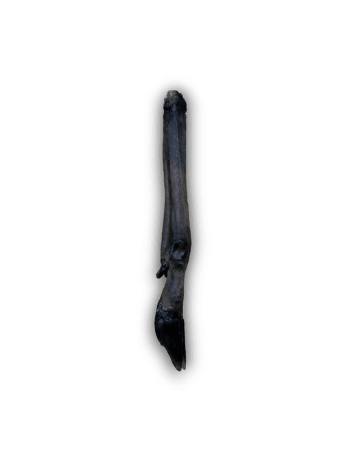 Anco Naturals Roe Deer Leg | Luxury Home Accessories | Heulog Glow