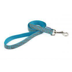 Ancol Collar & Lead Reflective Paw Blue | Luxury Home Accessories | Heulog Glow
