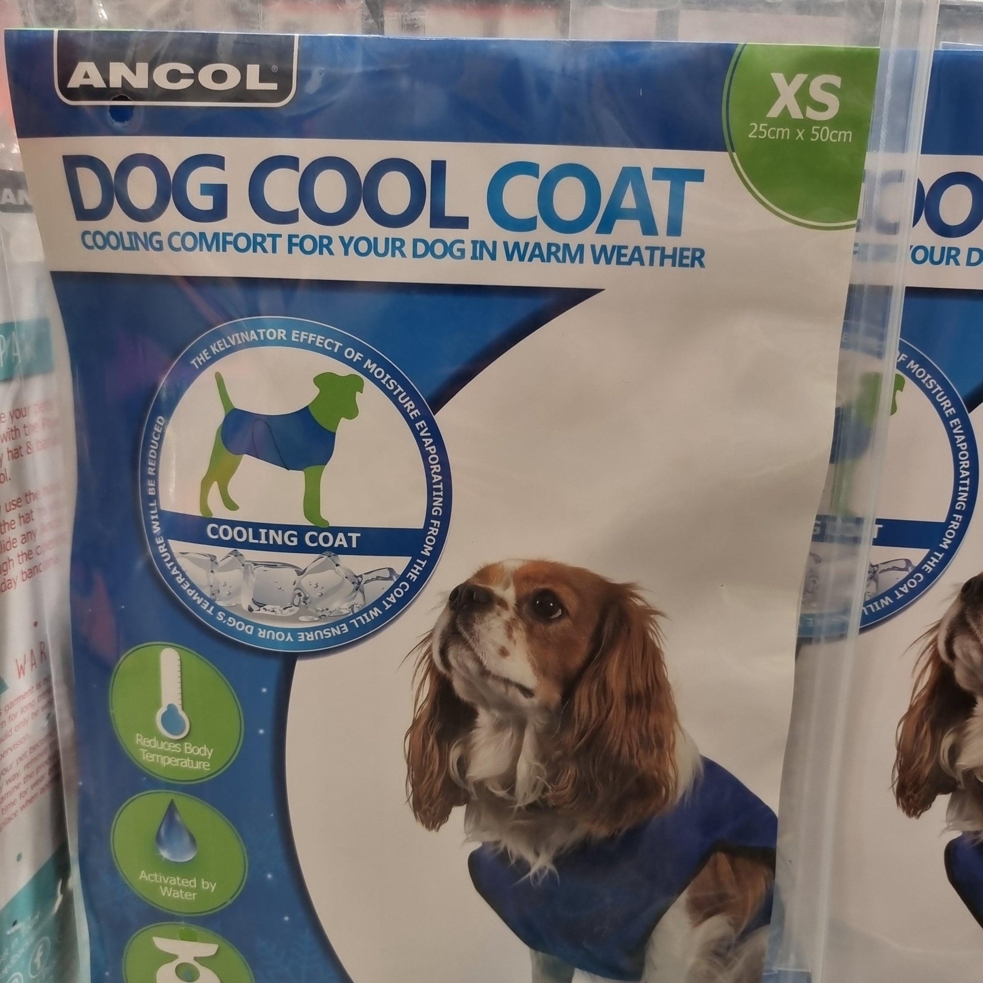 Ancol Dog Cooling Vest | Luxury Home Accessories | Heulog Glow