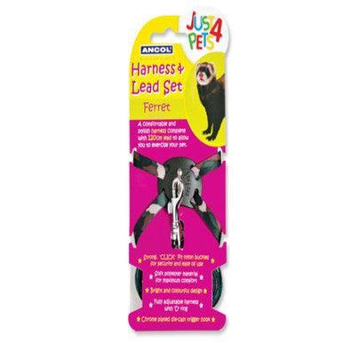 Ancol Ferret Harness And Lead Set | Luxury Home Accessories | Heulog Glow