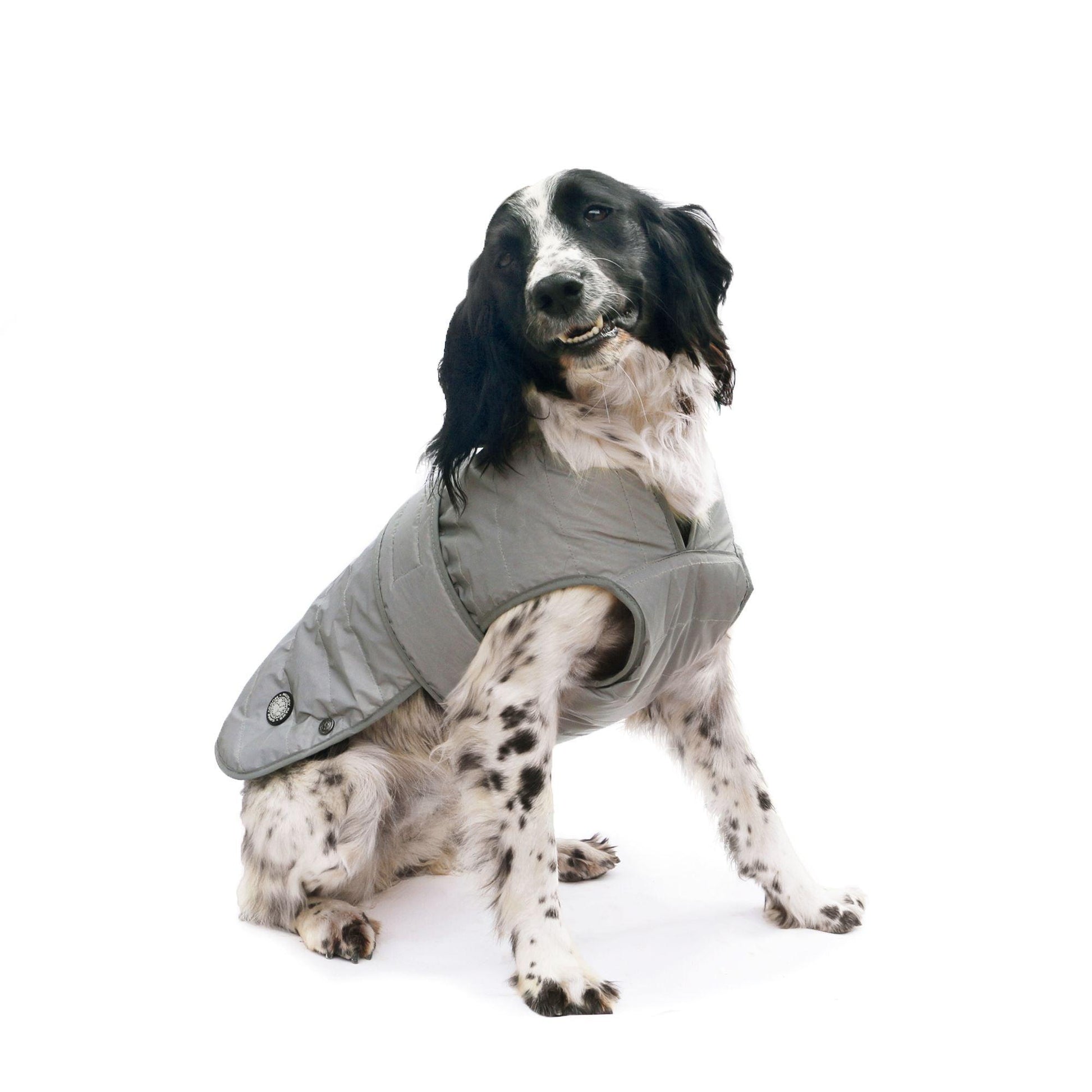 Ancol Muddy P Ultimate Reflect Coat | Luxury Home Accessories | Heulog Glow