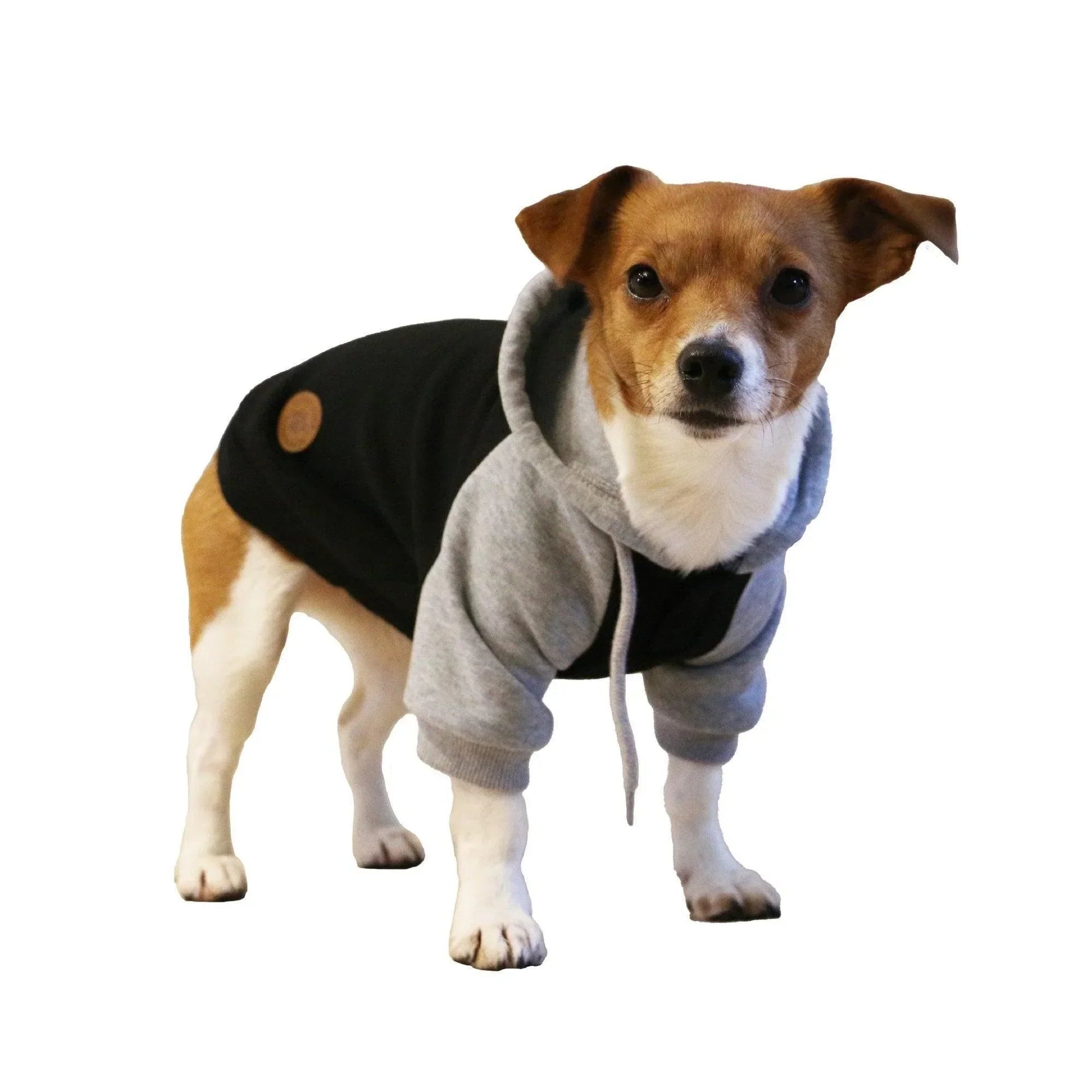 Ancol Muddy Paws Black & Grey Hoodie Jumper Extra Small | Luxury Home Accessories | Heulog Glow