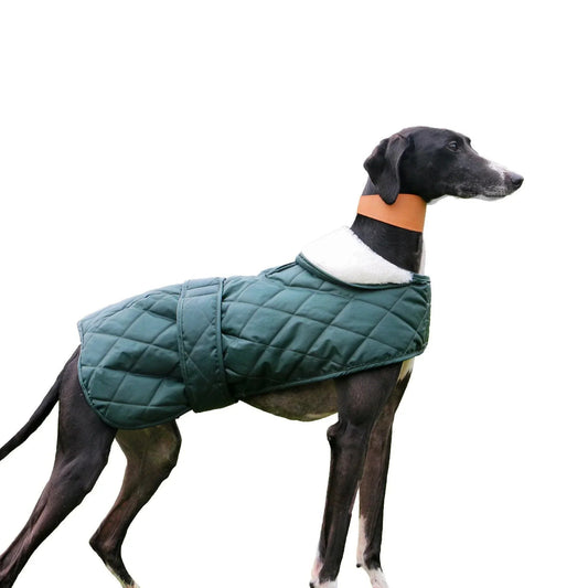Ancol Muddy Paws Quilted Green Hound Coat Medium | Luxury Home Accessories | Heulog Glow