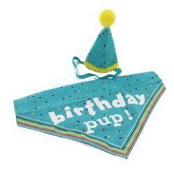 Ancol Pawty Its My Birthday Hat & Bandana, blue | Luxury Home Accessories | Heulog Glow