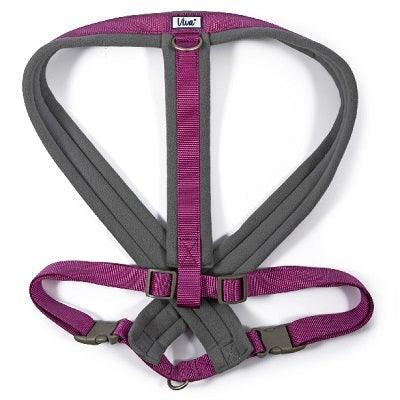 Ancol Viva Pad Harness Prpl 97-130cm | Luxury Home Accessories | Heulog Glow