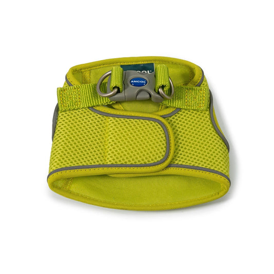 Ancol Viva Step In Harn Lime 30-36cm | Luxury Home Accessories | Heulog Glow