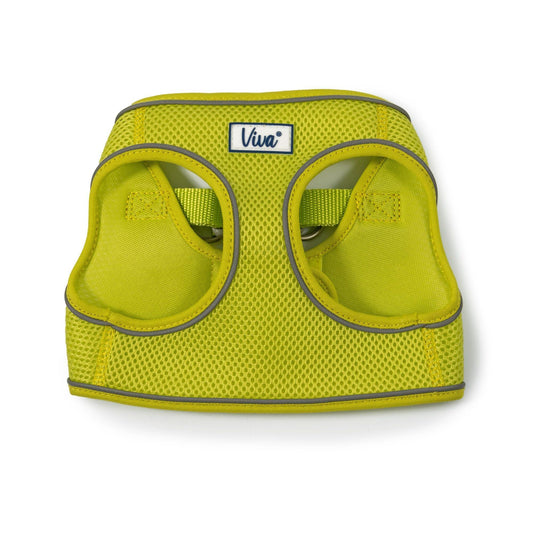 Ancol Viva Step In Harn Lime 41-47cm | Luxury Home Accessories | Heulog Glow