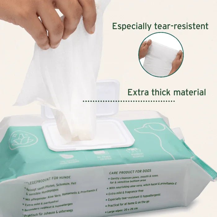 AniForte Care Wipes - 100 Pack | Luxury Home Accessories | Heulog Glow