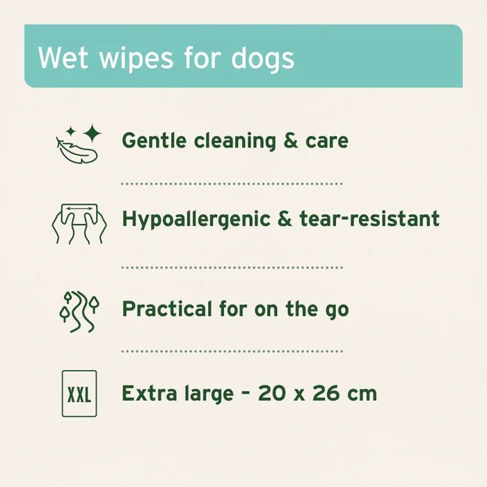AniForte Care Wipes - 100 Pack | Luxury Home Accessories | Heulog Glow