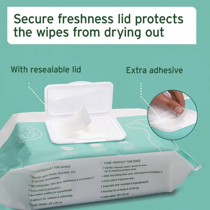 AniForte Care Wipes - 100 Pack | Luxury Home Accessories | Heulog Glow