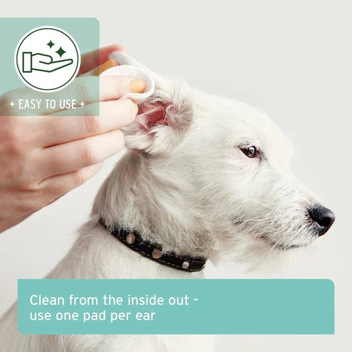 AniForte Ear Cleaning Pads - 100 Pieces | Luxury Home Accessories | Heulog Glow