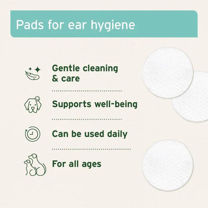 AniForte Ear Cleaning Pads - 100 Pieces | Luxury Home Accessories | Heulog Glow