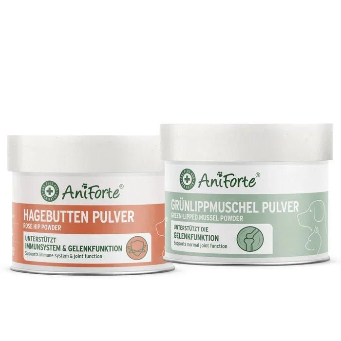AniForte® Joint Care Bundle (Large) | Luxury Home Accessories | Heulog Glow