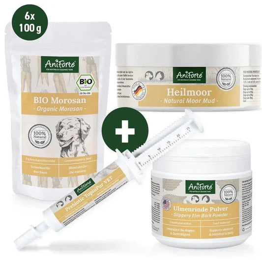 AniForte® Large Digestion Bundle | Luxury Home Accessories | Heulog Glow