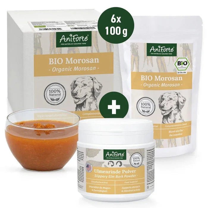 AniForte® Small Digestion Bundle | Luxury Home Accessories | Heulog Glow