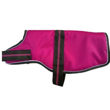 Animate Dachshund Padded Raspberry Dog Coat with adjustable belly strap 15Inch | Luxury Home Accessories | Heulog Glow