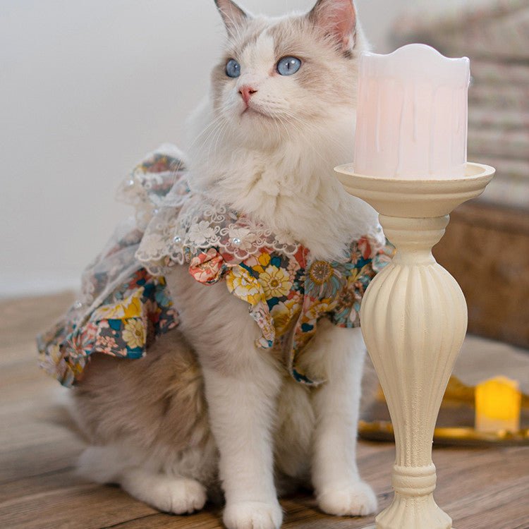 Anti Dropping Small And Medium-sized Dog Dress | Luxury Home Accessories | Heulog Glow