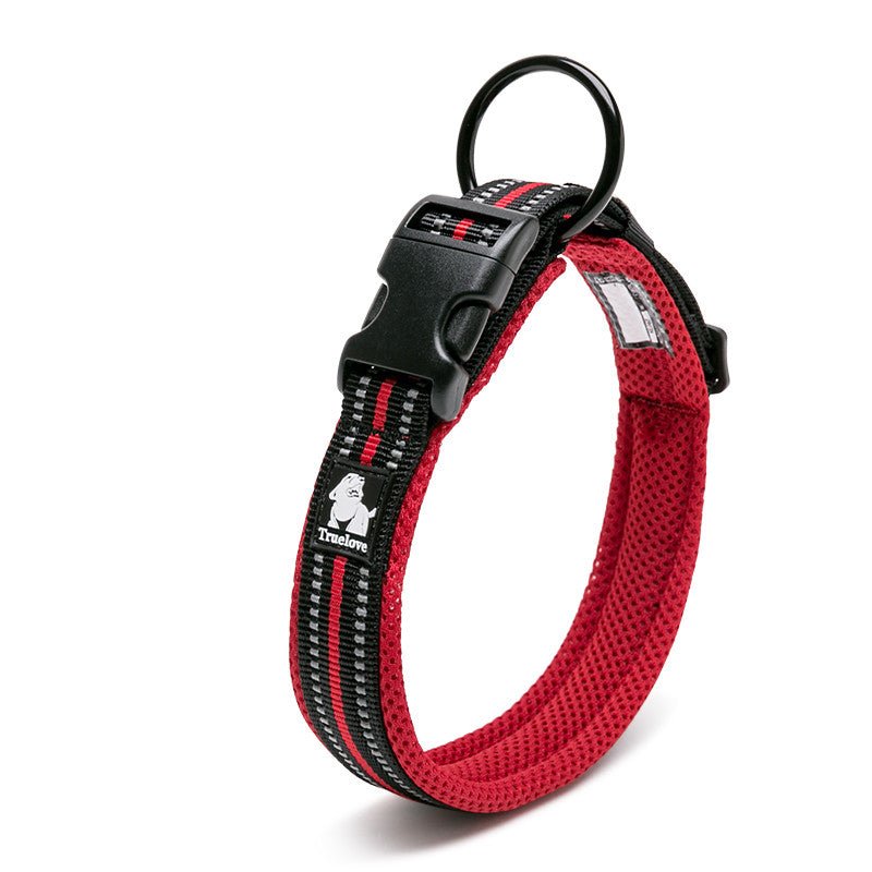 Anti Strangulation Medium Teddy Pet Products | Luxury Home Accessories | Heulog Glow