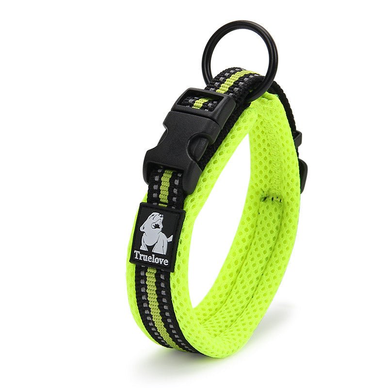 Anti Strangulation Medium Teddy Pet Products | Luxury Home Accessories | Heulog Glow