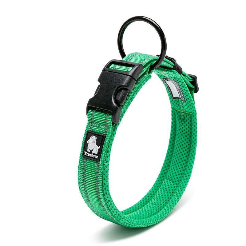 Anti Strangulation Medium Teddy Pet Products | Luxury Home Accessories | Heulog Glow