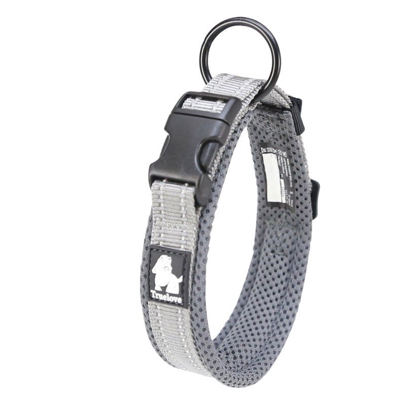 Anti Strangulation Medium Teddy Pet Products | Luxury Home Accessories | Heulog Glow
