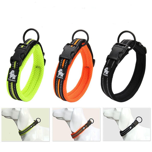 Anti Strangulation Medium Teddy Pet Products | Luxury Home Accessories | Heulog Glow