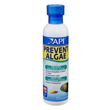 API Liquid Prevent Algae 237ml | Luxury Home Accessories | Heulog Glow