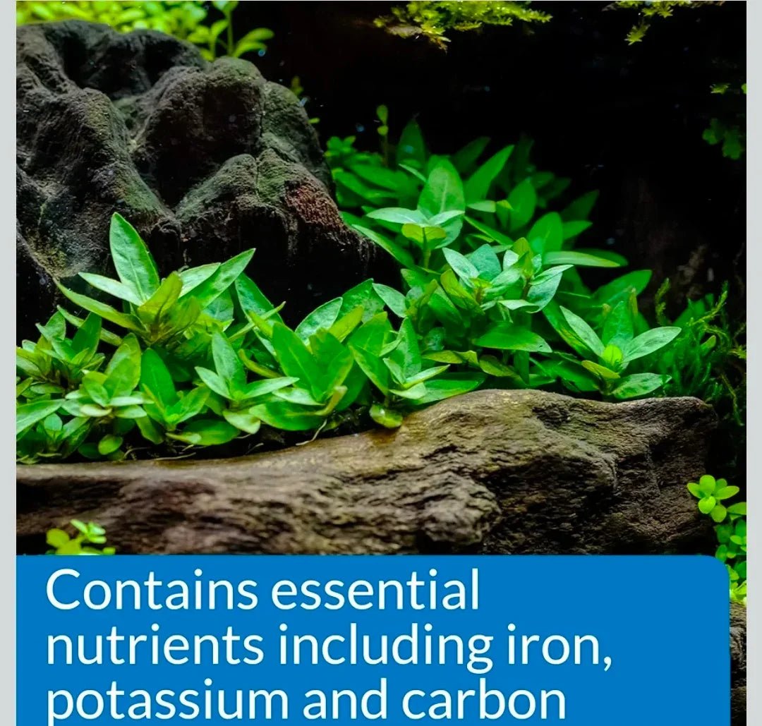 API ROOT TABS Freshwater Aquarium Plant Fertilizer 13 g 10-Count Box | Luxury Home Accessories | Heulog Glow
