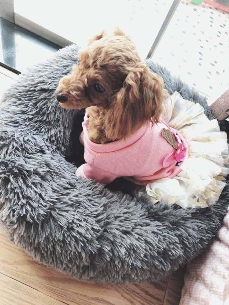 Autumn And Winter Thickening Plush Round Deep Sleep Cat Nest | Luxury Home Accessories | Heulog Glow