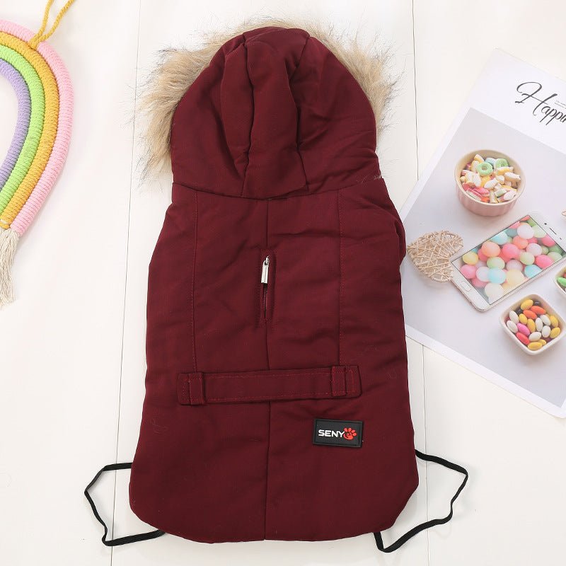 Autumn/winter wear for small dogs | Luxury Home Accessories | Heulog Glow