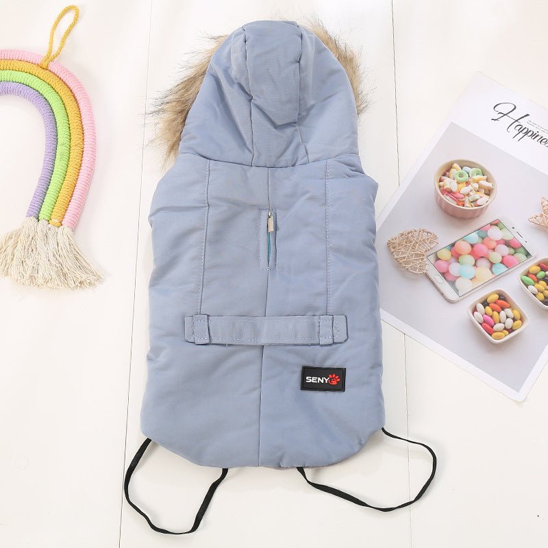 Autumn/winter wear for small dogs | Luxury Home Accessories | Heulog Glow